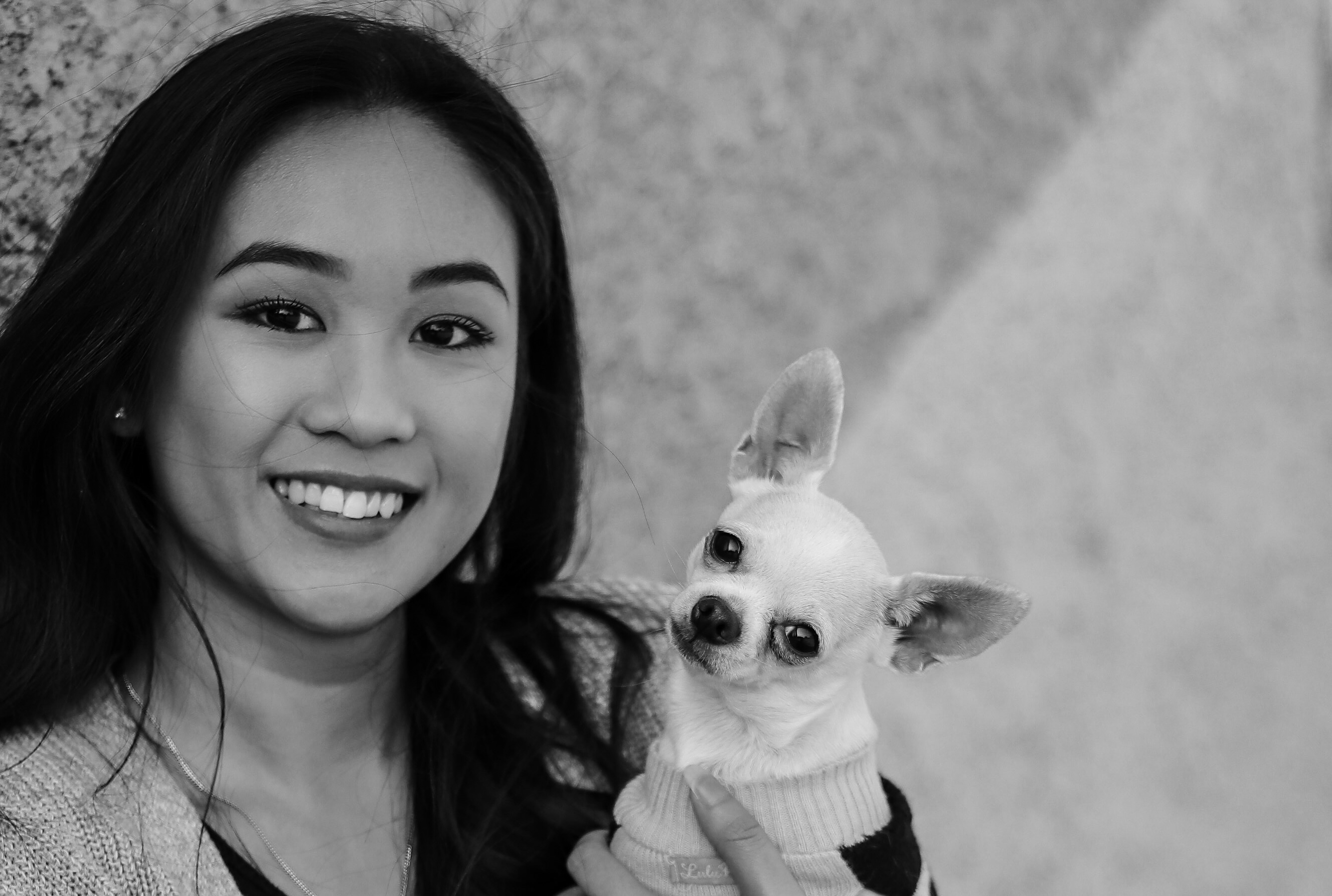 Baby my chihuahua